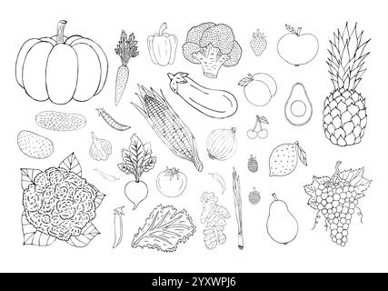 Ensemble de vecteur faisceau de doodle dessiné à la main fruits et baies de légumes isolés sur fond blanc Illustration de Vecteur
