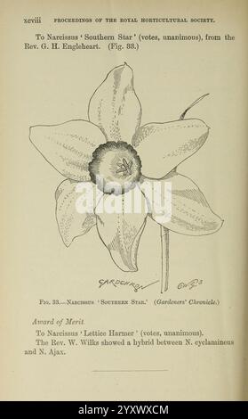 Journal de la Royal Horticultural Society of London, Londres, imprimé pour la Royal Horticultural Society par Spottiswoode & Co, botanique, culture fruitière, jardinage, horticulture, périodiques, sociétés, tuinbouw, tuinen, tuinieren, cette illustration présente une représentation détaillée d'une fleur ''Narcisse 'Southern Star''', mettant en valeur ses pétales distinctifs et sa structure. La fleur est élégamment représentée avec des composants étiquetés pour plus de clarté. Ci-dessus, il est fait référence à sa reconnaissance dans le contexte des réalisations horticoles. Le texte d'accompagnement note les prix et les votes de la Royal Horti Banque D'Images