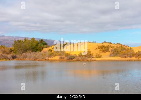 Paysage serein avec lac au premier plan, avec des dunes de sable et une végétation clairsemée en arrière-plan. Le ciel est principalement nuageux avec des taches de bleu, et Banque D'Images