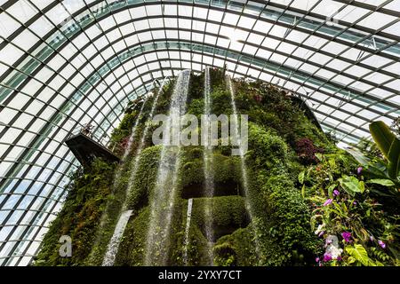 Cascade intérieure, forêt nuageuse, jardins de la baie, Singapour, photo : David Rowland / One-Image.com Banque D'Images