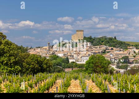 Vignoble typique avec des pierres près de Châteauneuf-du-Pape, Côtes du Rhône, France Banque D'Images