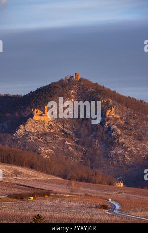 Catle ruines Château de Saint-Ulrich, Château du Girsberg et Château du Haut-Ribeaupierre près de Ribeauville, Alsace, France Banque D'Images