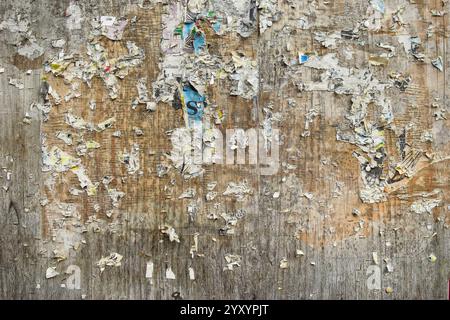 Tableau d'affichage avec des morceaux de papier déchirés. Banque D'Images