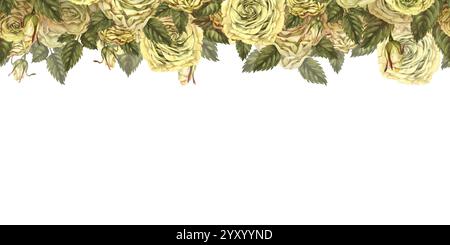 Bordure sans couture ou carte de visite de fleurs roses jaunes avec des feuilles vertes isolées sur fond blanc. Modèle d'illustration botanique aquarelle pour Banque D'Images