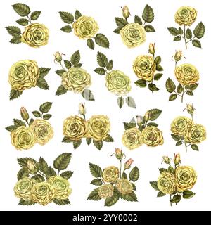 Grand ensemble de bouquets de fleurs roses jaunes avec des feuilles vertes isolées sur un fond blanc. Modèle d'illustration botanique d'aquarelle pour mariage, Banque D'Images