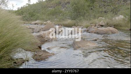 La rivière Rio dos Couros dans le parc national de Chapada dos Veadeiros, situé dans l'état de Goiás, Brésil Banque D'Images