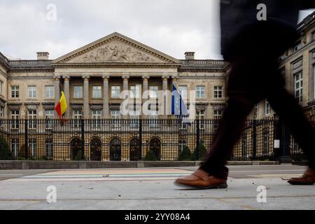 Bruxelles, Belgique. 18 décembre 2024. Le Palais de la Nation (Paleis der Natie - Palais de la Nation - Palast der Nation) bâtiment du Parlement fédéral belge à Bruxelles photographié le mercredi 18 décembre 2024. BELGA PHOTO HATIM KAGHAT crédit : Belga News Agency/Alamy Live News Banque D'Images