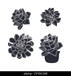 Silhouette noire de plante succulente isolée sur blanc Illustration de Vecteur