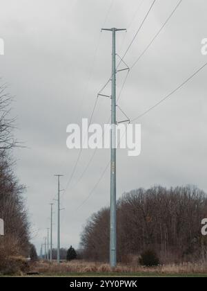 Lignes de transmission électrique et poteaux dans le Michigan USA Banque D'Images