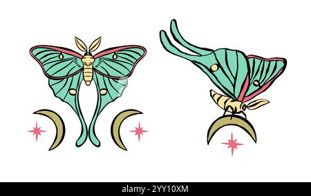 Teal luna Moth avec lunes dessinées à la main ensemble d'illustrations Illustration de Vecteur