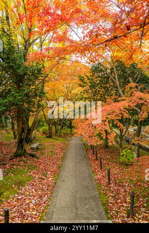 Le temple konkai komyo-ji pendant l'automne situé à Kyoto Japon Banque D'Images