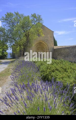 Champ de lavande devant l'abbaye notre Dame de Ganagobie avec portail principal sur la façade ouest Ganagobie, Alpes-de-haute-Provence, France, Europe Banque D'Images