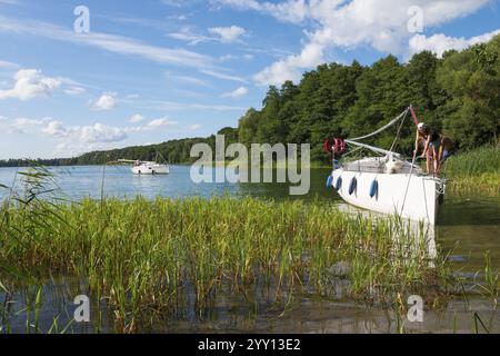 Un bateau se trouve sur la rive d'un lac avec des roseaux au premier plan et une forêt en arrière-plan, lac Ilinsk, Jelonek, MiNomNyn, Milomlyn, Liebemuehl, Banque D'Images