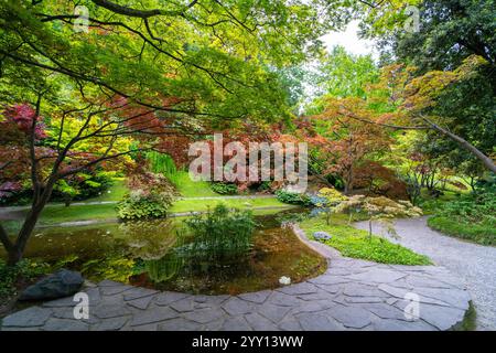 Un jardin serein avec des feuillages rouges, verts et jaunes éclatants Banque D'Images