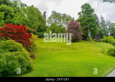 Un jardin luxuriant et animé à flanc de colline avec de l'herbe verte vive et des arbres colorés Banque D'Images