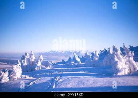 Vue sur les montagnes Tatra depuis le mont Pilsko en Slovénie, mettant en valeur une beauté naturelle époustouflante Banque D'Images