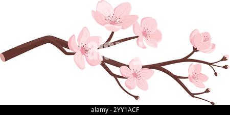 Belles fleurs de cerisier de sakura fleurissant sur une branche, isolées sur fond blanc Illustration de Vecteur