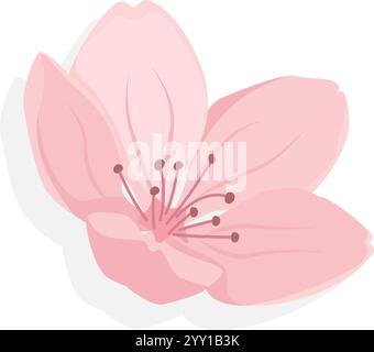 Fleur de cerisier de sakura rose en fleurs, isolé sur fond blanc Illustration de Vecteur