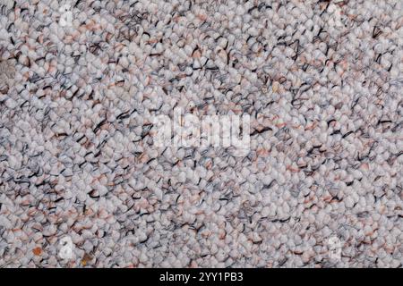 Fond de texture de tapis haute résolution pour les projets de design d'intérieur et de revêtement de sol Banque D'Images