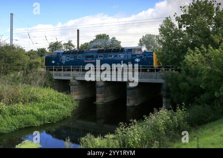 55013 le train Black Watch Deltic, East Coast main Line Railway, Peterborough, Cambridgeshire, Angleterre, Royaume-Uni Banque D'Images