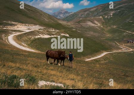 Cheval sauvage sur une colline herbeuse, encadrée par des montagnes sereines et des sentiers sinueux. Une scène étonnante qui capture l'harmonie de la nature. Banque D'Images