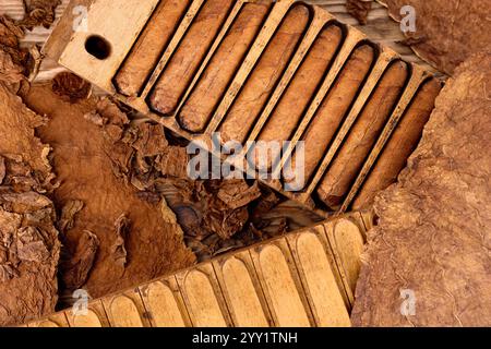 Cigares faits à la main dans une vieille presse traditionnelle en bois sur la table avec des feuilles de tabac séchées, vue de dessus du processus de fabrication des cigares Banque D'Images