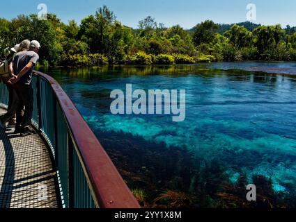 Takaka, Golden Bay, Tasman District, South Island, Aotearoa / Nouvelle-Zélande - 18 novembre 2024 : visiteurs sur la passerelle au-dessus de te Waikoropupū Springs. Banque D'Images