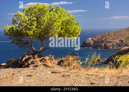 Phare de Cala Nans sur la côte rocheuse contre la mer Méditerranée bleue, près de Cadaques, Espagne Banque D'Images