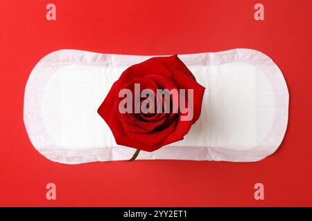 Tampon menstruel avec fleur de rose sur fond rouge, vue de dessus Banque D'Images