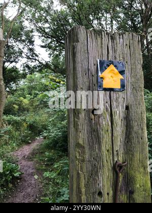 Panneau de direction du sentier public indiquant la direction de la promenade, North Yorkshire, Angleterre, Royaume-Uni Banque D'Images