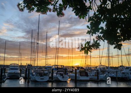 Fleurs de Pohutukawa encadrant des voiliers amarrés dans la marina. Le pont du port d'Auckland hors du champ d'application au loin. Banque D'Images