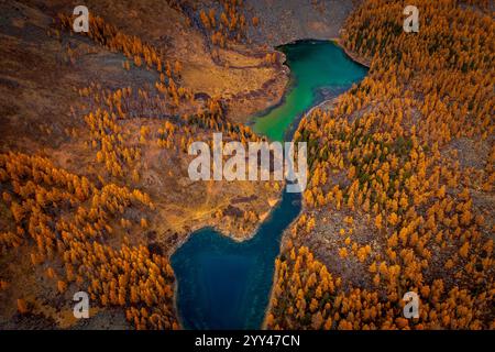 Image aérienne de feuillage d'automne coloré et rivière sinueuse dans un paysage naturel éloigné. Met en évidence des paysages reculés, des couleurs d'automne vibrantes, montrant la beauté étonnante de la nature sauvage intacte en automne Banque D'Images