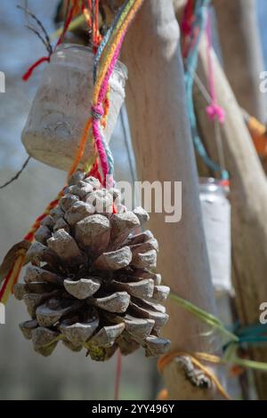 Une pomme de pin est actuellement suspendue à une branche d'arbre au-dessus Banque D'Images