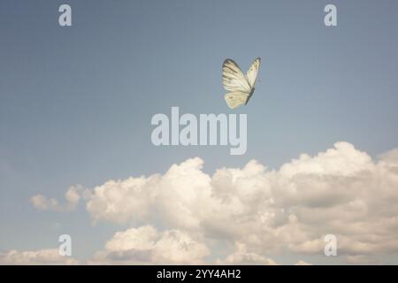 papillon blanc surréaliste volant librement dans le ciel nuageux Banque D'Images