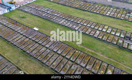 Vue aérienne d'un grand champ avec des rangées de vieilles structures rectangulaires en béton, utilisées à des fins agricoles, aujourd'hui abandonnées, entourées d'herbe. Banque D'Images