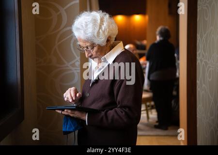 Portrait d'une femme âgée à l'aide d'une tablette dans le salon, naviguant sur Internet sans fil sur tablette. Femme senior moderne heureuse utilisant le dispositif PAD Banque D'Images
