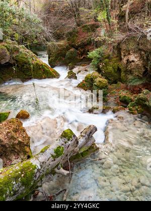 Un ruisseau forestier tranquille coule sur des roches lisses et des bûches tombées. Les pierres couvertes de mousse ajoutent une touche de verdure au paysage automnal serein. Banque D'Images