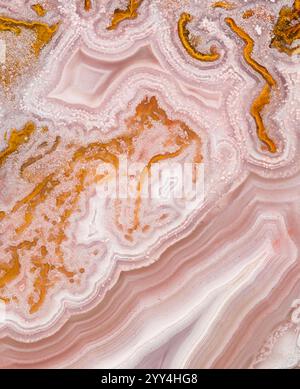 Une image en gros plan d'une pierre d'agate rose et orange présentant des motifs et des textures naturels complexes. Les couches tourbillonnantes créent un abstrac captivant Banque D'Images