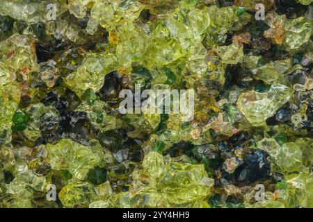 Vue rapprochée d'un amas de cristaux de Peridot naturellement formés présentant leur couleur vert olive caractéristique, provenant de l'Arizona. L'image montre Banque D'Images