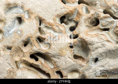 Vue détaillée de roches colorées, montrant des textures et des formes complexes le long de la rive d'un ruisseau serein à l'emplacement 728137. Idéal pour backgrou naturel Banque D'Images