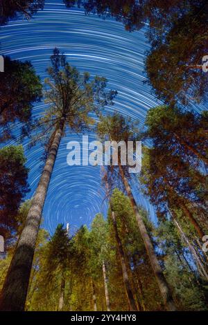 Fascinant cliché longue exposition de traînées d'étoiles avec Polaris au centre, capturé à travers des arbres imposants dans la forêt nationale de Tahoe, en Californie, en dessous Banque D'Images