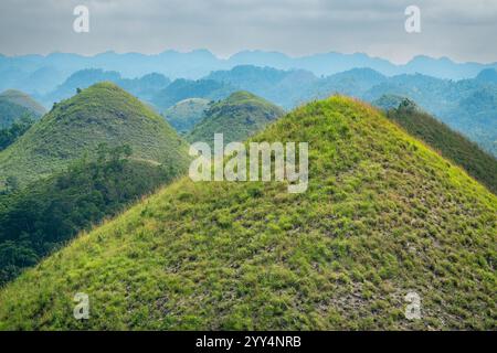 Chocolate Hills Bohol, Visayas centrales, Philippines, Asie du Sud-est Banque D'Images