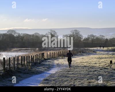 Femme (vue arrière) et exercice de chien lors d'une journée hivernale froide (campagne pittoresque paisible, bord de rivière) - Bolton Abbey Estate, North Yorkshire, Angleterre Royaume-Uni Banque D'Images