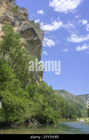 Plate-forme de saut à l'élastique au-dessus du Tarn, Gorges des Causses du Massegros, les baumes Hautes, Département de la Lozère, France, Europe Banque D'Images