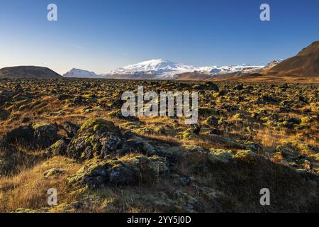 Champ de lave couvert de mousse, péninsule de Snaefellsnes, Snaefellsnes, Islande occidentale, Islande, Europe Banque D'Images