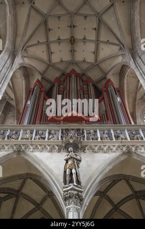 Orgue loft, orgue construit en 1997, église-hall gothique tardif de St George, Dinkelsbuehl, Bavière, Allemagne, Europe Banque D'Images