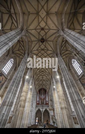 Voûte réticulée et loft d'orgue de l'église-hall gothique tardif de St George, Dinkelsbuehl, Bavière, Allemagne, Europe Banque D'Images