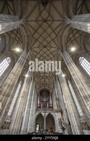 Intérieur avec voûte en filet et loft d'orgue, orgue construit en 1997, église-hall gothique tardif de St George, Dinkelsbuehl, Bavière, Allemagne, Europe Banque D'Images