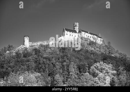 Le château de Bezdez se dresse majestueusement sur une colline, entouré d'un feuillage d'automne vibrant. Cette forteresse gothique historique met en valeur la beauté du paysage tchèque à l'automne. Banque D'Images