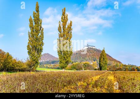 Au milieu des couleurs vibrantes de l'automne, le château de Bezdez se dresse majestueusement sur une colline. L'architecture gothique et le paysage environnant créent une magnifique toile de fond, capturant l'essence de la saison. Banque D'Images